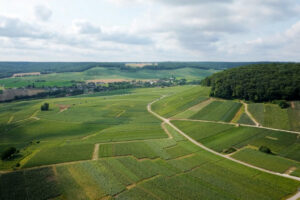La Champagne ferma il piano di revisione dell&rsquo;area della denominazione avviato nel 2003