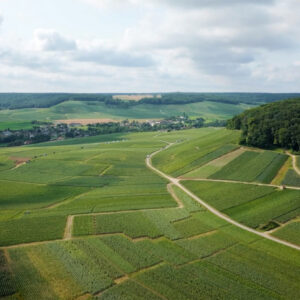 La Champagne ferma il piano di revisione dell&rsquo;area della denominazione avviato nel 2003