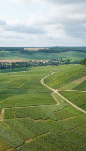 La Champagne ferma il piano di revisione dell&rsquo;area della denominazione avviato nel 2003