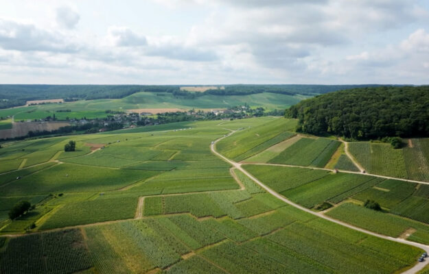 AOC CHAMPAGNE, CAMBIAMENTO CLIMATICO, CHAMPAGNE, COMITÉ CHAMPAGNE, MERCATO, SYNDICAT GÉNÉRAL DES VIGNERONS DE LA CHAMPAGNE, Mondo