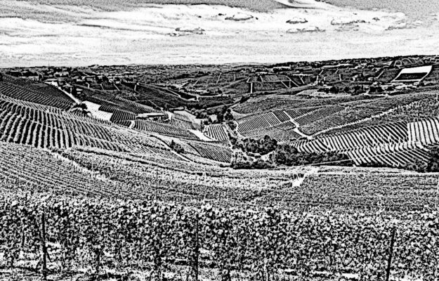 ALBA, CAPORALATO, CARITAS, LANGHE, VENDEMMIA 2026, Italia