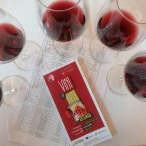 Vino di Romagna, un complesso &ldquo;mosaico&rdquo; che punta sempre pi&ugrave; sulle Sottozone del suo Sangiovese