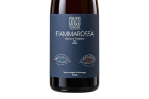 Vista Mare, Rubicone Igt Bianco Trebbiano Fiammarossa 2022
