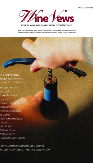 I Vini di WineNews
