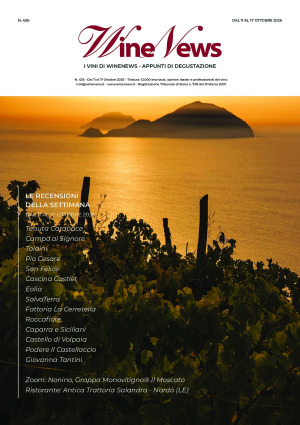 I Vini di WineNews - N. 436