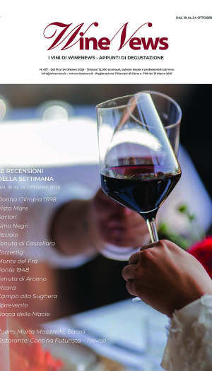 I Vini di WineNews