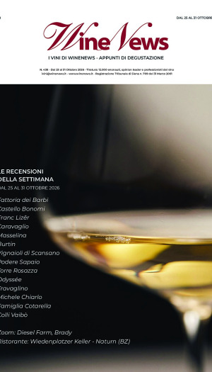 I Vini di WineNews