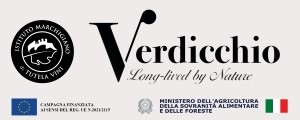 Banner Marche - Verdicchio Weekly 2024