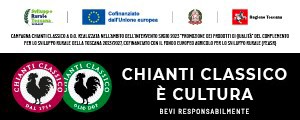 Banner Chianti Classico 2019