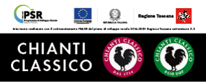 Banner Chianti Classico 2019