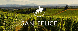 Banner San Felice