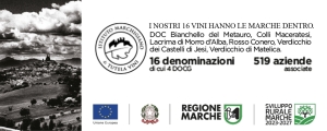 Istituto Marchigiano di Tutela Vini - Marche Vini 2025 (jpeg, 300x120)