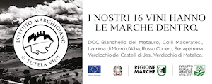 Istituto Marchigiano di Tutela Vini - Marche Vini 2025 (jpeg, 300x120)