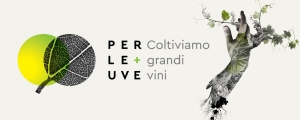 Perleuve 2025 (300x120)