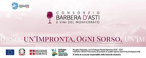 Consorzio Barbera d’Asti e Vini del Monferrato 2026 (300x120)