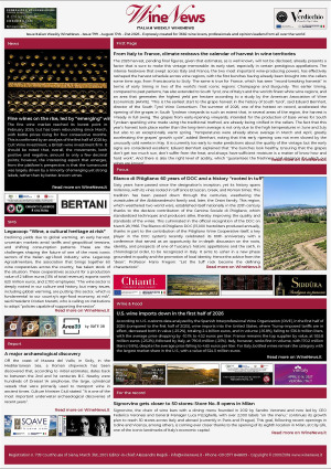 Italian Weekly WineNews - Issue 799