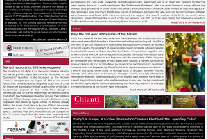 Italian Weekly WineNews - Issue 487