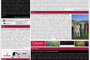 Italian Weekly WineNews - Issue 507