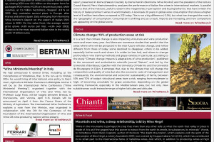 Italian Weekly WineNews - Issue 674