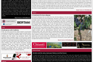 Italian Weekly WineNews - Issue 579