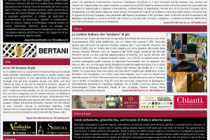 La Prima di WineNews - 4.014