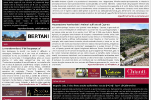 La Prima di WineNews – 3.481