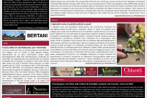 La Prima di WineNews – 3.591