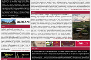 La Prima di WineNews – 3.800
