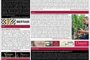 La Prima di WineNews - 4.032