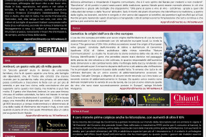 La Prima di WineNews – 3.318